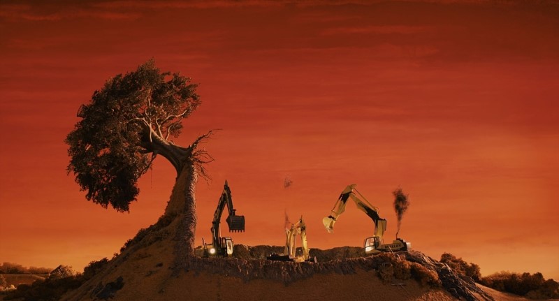 Autumn orange in Fantastic Mr. Fox (2009) | Twentieth Century Fox